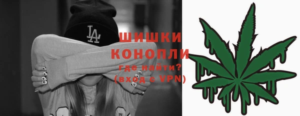 ешки Гусь-Хрустальный